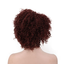 Load image into Gallery viewer, Women Wig Hand Roll Small Curly Hair Afro Solid Color Hair Cover W35