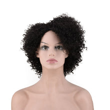 Load image into Gallery viewer, Women Wig Hand Roll Small Curly Hair Afro Solid Color Hair Cover W35