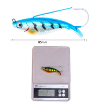 Lade das Bild in den Galerie-Viewer, 2pcs Lure Single Hook Simulation Scale Hard Bait 8.5 Cm21g VIB Bait