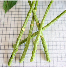 Load image into Gallery viewer, 3D Royal Grand Hydrangea Artificial Fake Flower Plants Home Decoration Wedding Bouquet