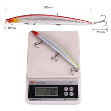 Lade das Bild in den Galerie-Viewer, 2pcs Sea Fishing Freshwater Lure Mino Bait 23G18cm Simulation Plastic False Bait Bait-like