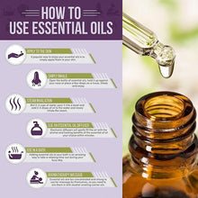Load image into Gallery viewer, MUZXR- Fragrance Oil Pure Essential Oils For Aromatherapy Diffusers Lavender tea Tree HZP