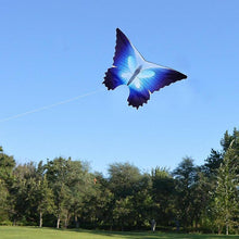 Load image into Gallery viewer, Kites Colorful Butterfly Nylon Outdoor Flying Kite