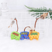 Lade das Bild in den Galerie-Viewer, 2Pcs green Canvas Catnip Feather Funny Cat Toy Knots,Wear-resistant gnawing Cat Supplies AZ16134