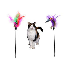 Load image into Gallery viewer, 2Pcs 110V warm white 220V/110V Led Chip, Cob Chip - 50W/30W/20W Led Lamp Beads AZ16867