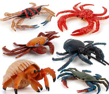 Load image into Gallery viewer, 2Pcs Coconut crab 9.3 * 11cm Coconut Crab toy educational simulation animal marine life model realistic gift props children learning AZ18999