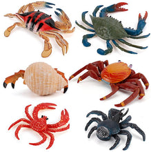 Lade das Bild in den Galerie-Viewer, 2Pcs Hermit crab 11.5 * 6cm Hermit crab toy educational simulation animal marine life model realistic gift props children learning AZ11541