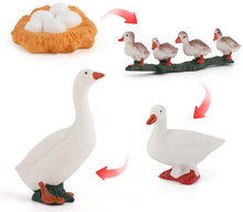 Load image into Gallery viewer, 3.5*9.3cm Plant growth cycle scientific exploration suit miniature simulation plant model children¡¯s early education