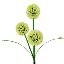 Load image into Gallery viewer, 1pcs green Solar waterproof simulation dandelion lawn light, 3LED garden landscape lamp AZ18624