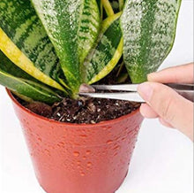 Load image into Gallery viewer, 10 pcs/set succulent planting tools, gardening potted flower planting tool set AZ21593
