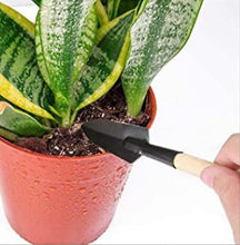 Load image into Gallery viewer, 10 pcs/set succulent planting tools, gardening potted flower planting tool set AZ21593