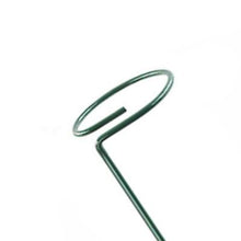 Lade das Bild in den Galerie-Viewer, 20pcs 20pcs garden plant bracket, metal fixing rod for indoor and outdoor flowers AZ22048