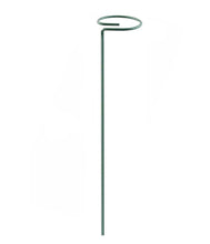 Load image into Gallery viewer, 10pcs 20pcs garden plant bracket, metal fixing rod for indoor and outdoor flowers AZ22047