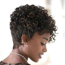 Load image into Gallery viewer, Women Wig Fashion Black Brown Mixed Small Wavy Curly Hair W4