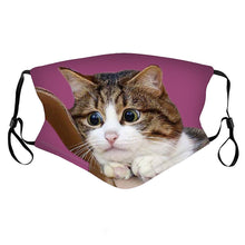 Load image into Gallery viewer, Masks Unisex Print Mouth Mask Cute Furry Cat Pattern Mouth Washed Reusable Face Masks