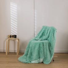 Lade das Bild in den Galerie-Viewer, Peacock Velvet Blanket High Quality Plush Foreign Trade Blanket Thickened AB Double-Sided Blanket