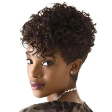 Load image into Gallery viewer, Women Wig Fashion Black Brown Mixed Small Wavy Curly Hair W4