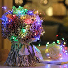 Load image into Gallery viewer, 3/4/5m Copper Wire LED String Holiday Lighting Fairy Garland Christmas Tree Wedding Party Decoration