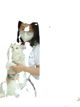 Load image into Gallery viewer, Backpack Lightweight Spot Portable Cat Pet Bag