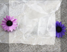 Load image into Gallery viewer, 3pcs Travel Disposable Toilet Mat Hotel Toilet Seat Cover Water-Proof Bacteria-Proof Protection