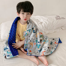 Lade das Bild in den Galerie-Viewer, Baby Coral Fleece Blanket Coral Fleece Soft Spring and Autumn Quilt Cartoon Double Layer Cover Blanket