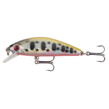 Lade das Bild in den Galerie-Viewer, 2pcs Lure Mino Five Mesh Submerged Tossing Type Snakehead Fishing Gear 6.6cm9.5g