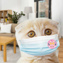 Load image into Gallery viewer, 2x500pcs Christmas Xmas Colorful Eggless Easter Happy Sticker Gift Envelope Decorative Bag Label tape