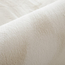 Lade das Bild in den Galerie-Viewer, Imitation Rabbit Fur Thickened and Densely Woven Carpet Living Room Bay Window Bedroom Bedside Blanket
