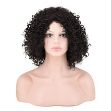 Lade das Bild in den Galerie-Viewer, Women Wig Fashion Short Curly Hair Afro Headgear W487

