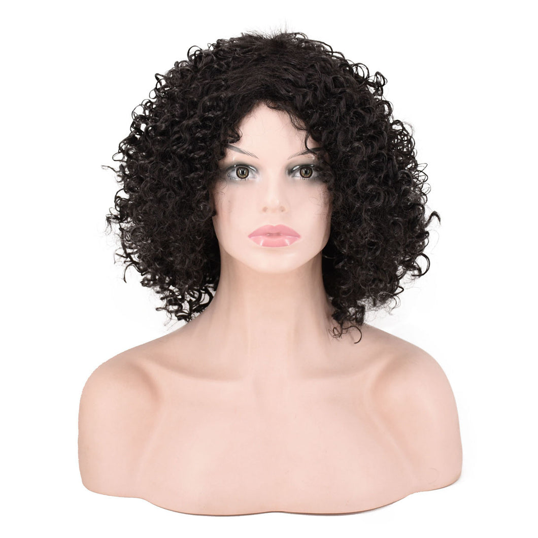Women Wig Fashion Short Curly Hair Afro Headgear W487