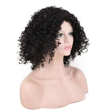 Lade das Bild in den Galerie-Viewer, Women Wig Fashion Short Curly Hair Afro Headgear W487
