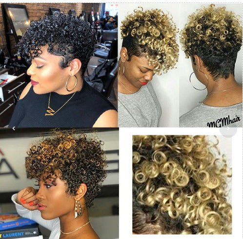 Women Wig Short African Curly Hair Rose Net Synthetic Wigs W274