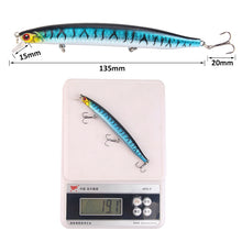 Lade das Bild in den Galerie-Viewer, 2pcs Lure Mino 19.1G/13.5cm Submerged Bait Far Throw Outdoor Fishing
