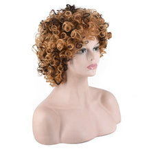 Lade das Bild in den Galerie-Viewer, Women Wig Head Cover African short  Roll High-Temperature Fiber W445
