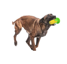 Load image into Gallery viewer, Dog molar Chew Toys With Suction Cup For Teeth Cleaning Durable Puppy Cleaning Toys AZ19338
