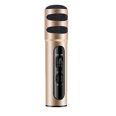 gold portable Musical microphone handheld karaoke mic speaker machine for birthday home party AZ12170