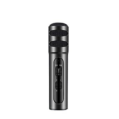 black portable Musical microphone handheld karaoke mic speaker machine for birthday home party AZ12168