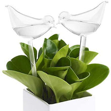 Load image into Gallery viewer, 2Pcs star Garden house automatic watering device small bird five-pointed star lazy watering device gardening tool AZ20003
