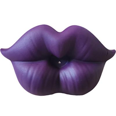 2Pcs purple Baby Pacifier Clip Red Kiss Lips Dummy Pacifiers Silicone Teether AZ10403
