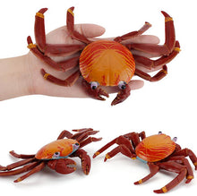 Load image into Gallery viewer, 2Pcs Sally Crab 19 * 12.5 cm Sally Crab toy educational simulation animal marine life model realistic gift props children learning AZ10565

