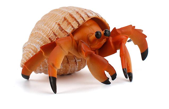 2Pcs Hermit crab 11.5 * 6cm Hermit crab toy educational simulation animal marine life model realistic gift props children learning AZ11541