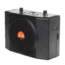 Lade das Bild in den Galerie-Viewer, Speakers 25W 100Hz-15kHz Rechargeable Speaker FM Radio MP3 Player with Microphone Remote Control Teaching Tou
