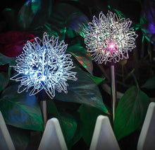 Lade das Bild in den Galerie-Viewer, 2 pcs warm light Solar simulation dandelion yard decoration light, LED waterproof garden light AZ17230
