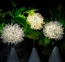 Lade das Bild in den Galerie-Viewer, 2 pcs warm light Solar simulation dandelion yard decoration light, LED waterproof garden light AZ17230
