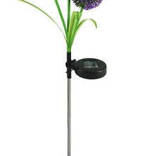 Lade das Bild in den Galerie-Viewer, 1pcs purple Solar waterproof simulation dandelion lawn light, 3LED garden landscape lamp AZ18622
