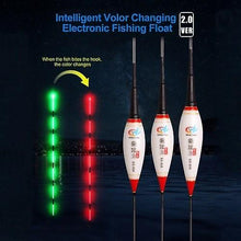 Lade das Bild in den Galerie-Viewer, Fishing Floats BS-808 Intelligent alarm bite hook color electronic drift luminous drift microgravity induction night fishing float
