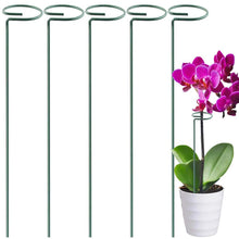 Load image into Gallery viewer, 10pcs 20pcs garden plant bracket, metal fixing rod for indoor and outdoor flowers AZ22047
