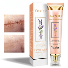 Load image into Gallery viewer, MUZXR- Skin Care Extractors Lavender Scar Repair Cream Repairing Burn Scars Skin Care 20g HZP
