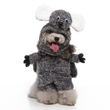 Load image into Gallery viewer, Dog Apparel Children&#39;s Toys Wooden Magnetic Pen Maze Toy Puzzle Game To Stimulate The Brain-(waterme
