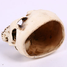 Load image into Gallery viewer, Ashtray Halloween Home Skull  Flower Pot Novelty Creative Resin Decorations Horror Decoration Ashtray
